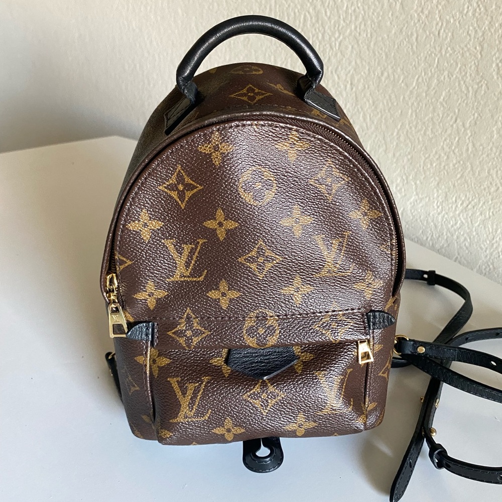 Louis Vuitton Mini Palm Spring backpack